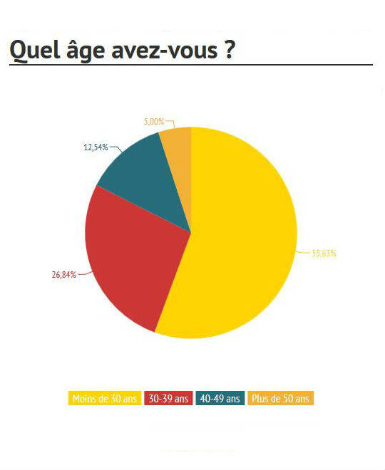 infographie emploi